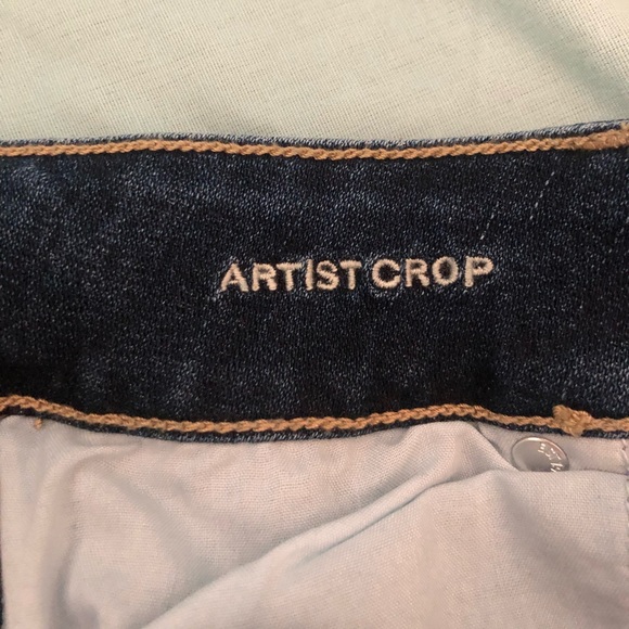 American Eagle artist crop - Picture 2 of 4